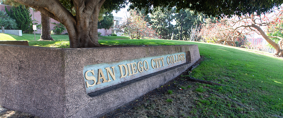 California Community Colleges Plunging Numbers   SD Citiy College 